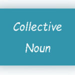 Free guide Collective Nouns