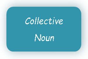 collective noun definition