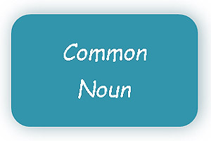 Common noun definition