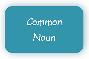 Common noun definition