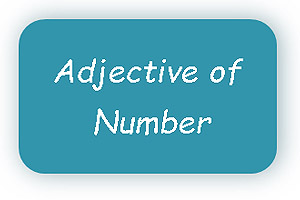 adjectives of number examples sentences