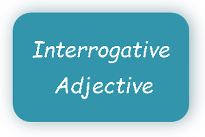 Interrogative Adjectives examples