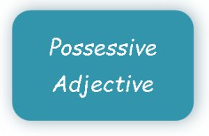 Possessive adjectives