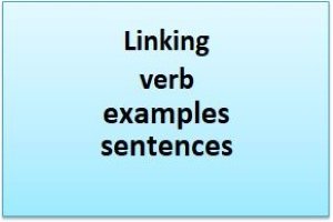 Linking verb examples sentences