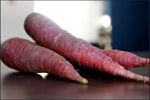 Purple carrot recipes